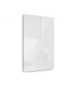 580w Quartz Glass Infrared Heating Panel (Available In Black or White)